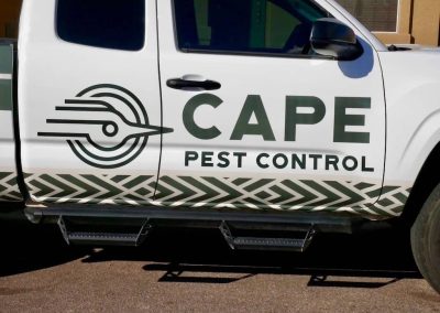 Cape Pest Control GalleryP1010810 1920w