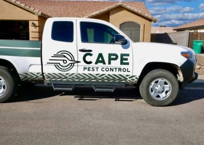 Cape Pest Control GalleryP1010811 1920w